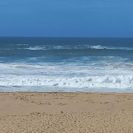Pobral Plage Et Foret מראה חיצוני תמונה
