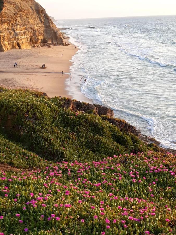 Pobral Plage Et Foret מראה חיצוני תמונה