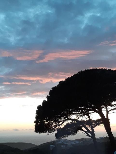 Pobral Plage Et Foret מראה חיצוני תמונה