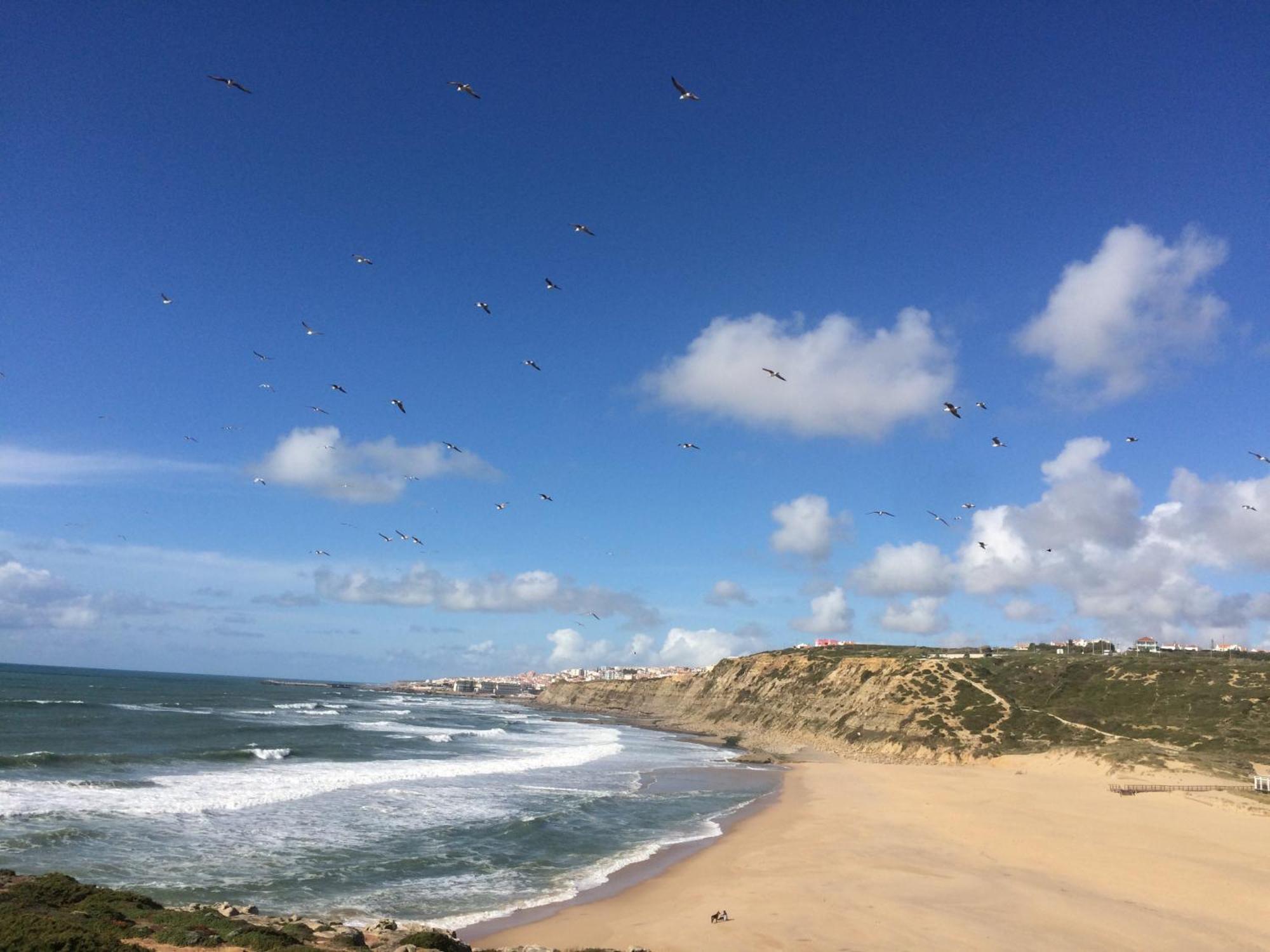 Pobral Plage Et Foret מראה חיצוני תמונה